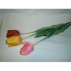 Tulipán mix barev  65cm, 2011121017011