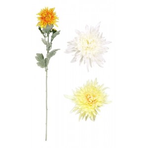 Chryzantéma ojíněná mix barev 65cm, 8591957030285