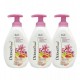 Mýdlo tekuté s pumpou 300ml, Broskev, Dermomed,8054633831816